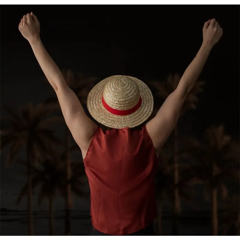 One Piece Luffy Strohhut im gl – One Piece Straw Hat Bewertung und Preis