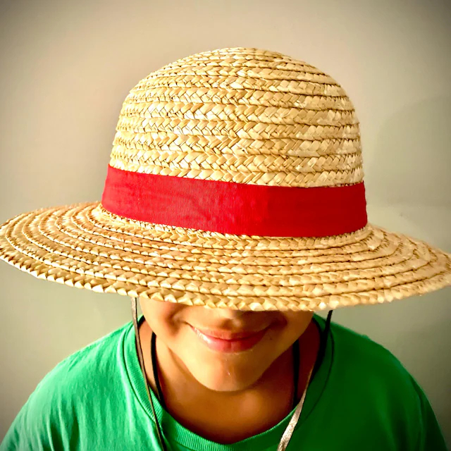 One Piece Luffy Strohhut im gl – One Piece Straw Hat Bewertung und Preis